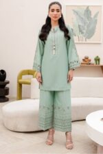 Heer Ready to Wear Embroidered 2-Piece Dress – Mint